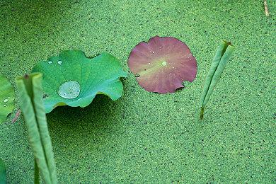 《冲就完事模拟器》Switch和PS版发售日期明年公布